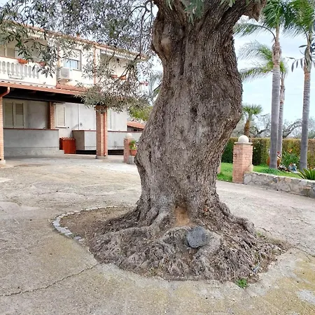 Casa Melia 아파트